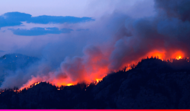 Cómo afectan los incendios forestales al medio ambiente