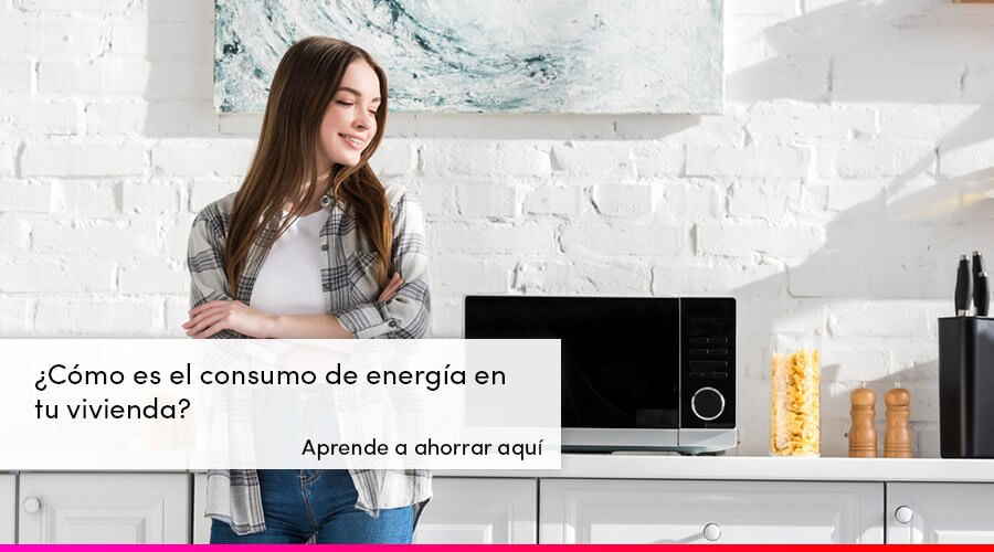 tugurio foro afijo Consumo de electrodomésticos ¿Cuál gasta más energía?